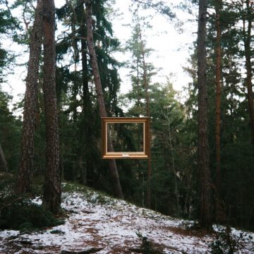 Sciahri ‎– Metamorphosis